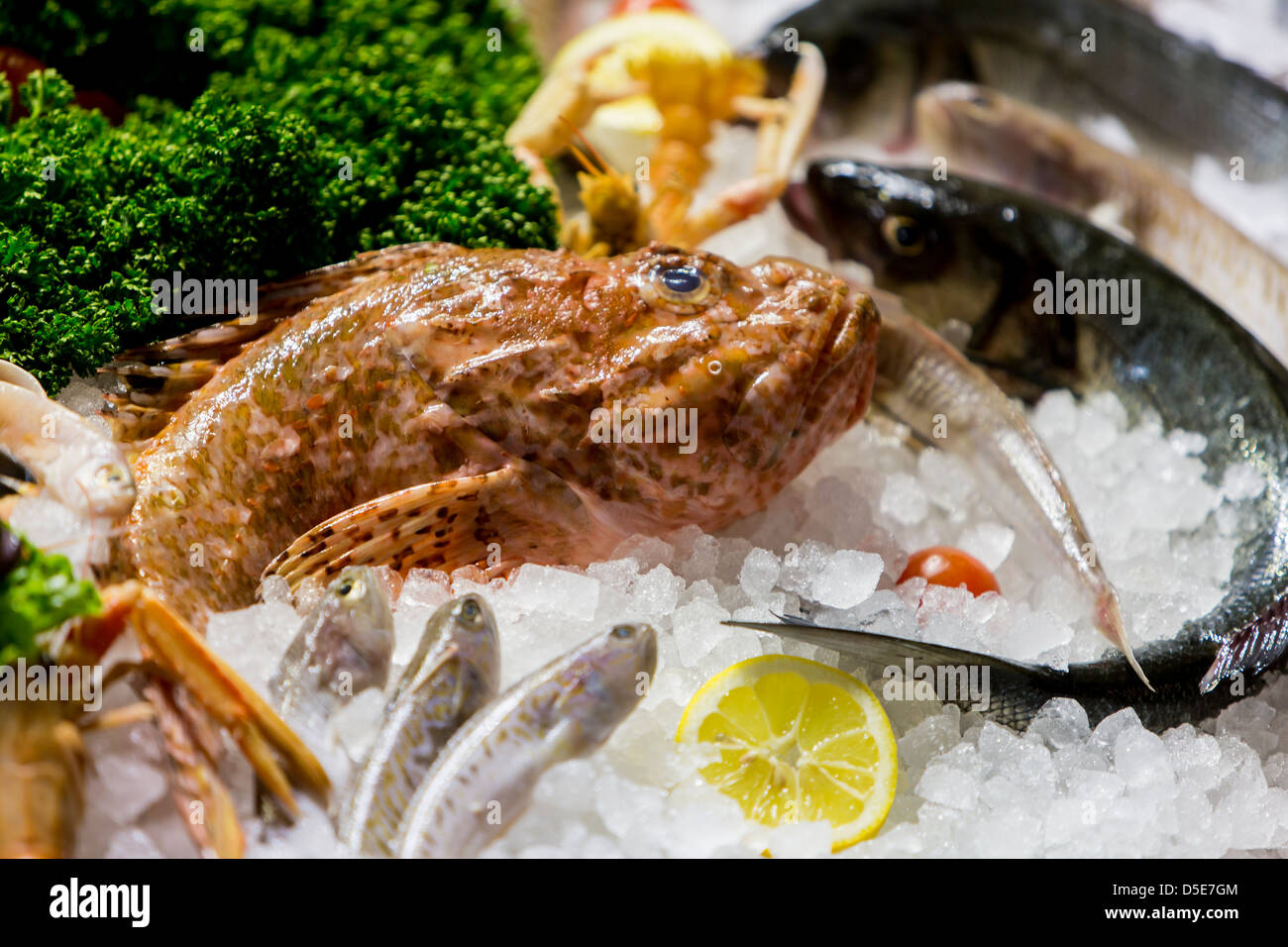 Meeresfrüchte Stockfoto