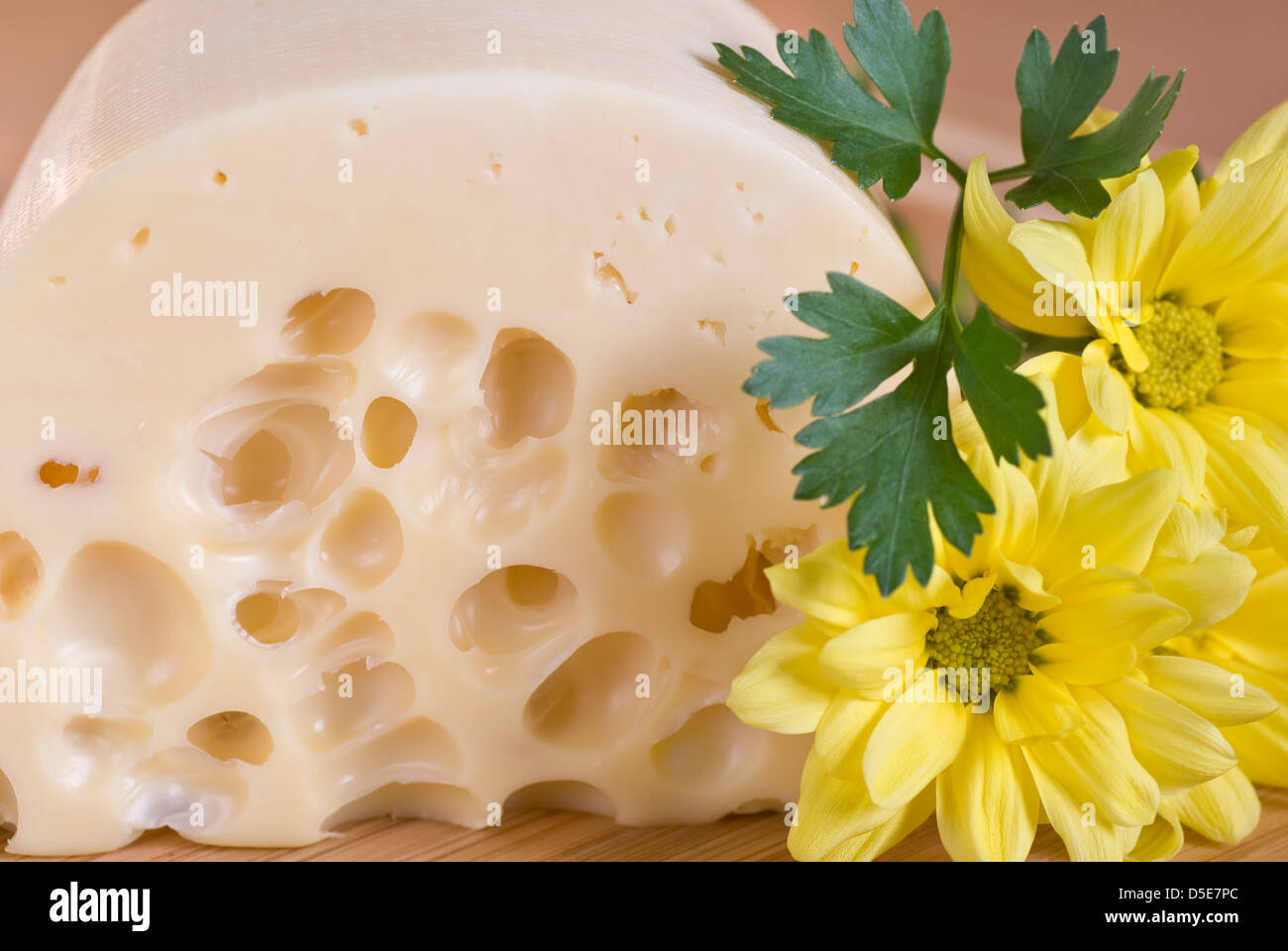 gelben Käse mit großen Löchern und Blume Stockfoto