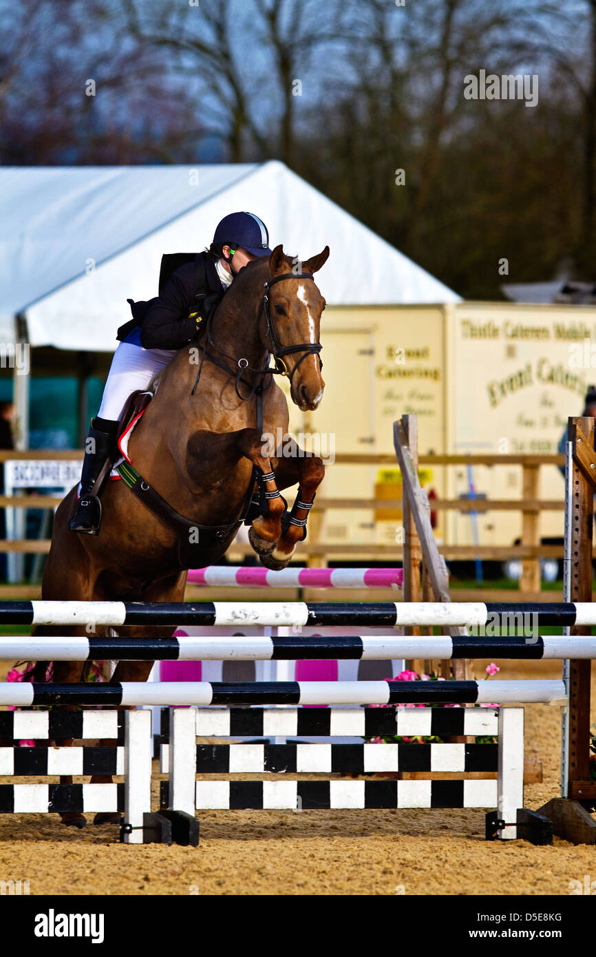 Horse Jumping einen Zaun in einem cross country Event in Cheshire UK Stockfoto