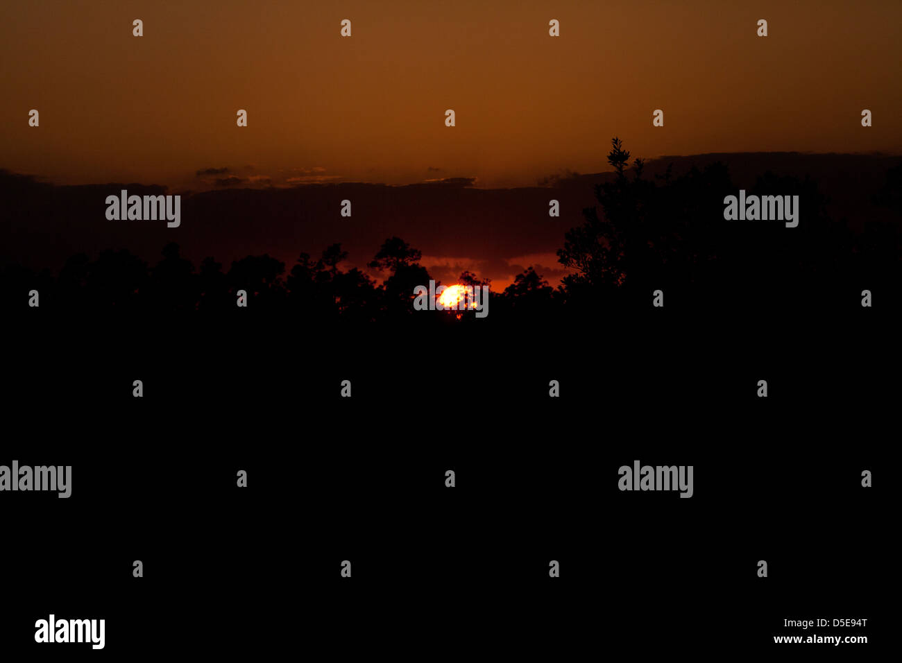 Sonnenuntergang, Horizont, Road, Florida Everglades, neue, Anfang, Dämmerung, Dunkelheit Stockfoto