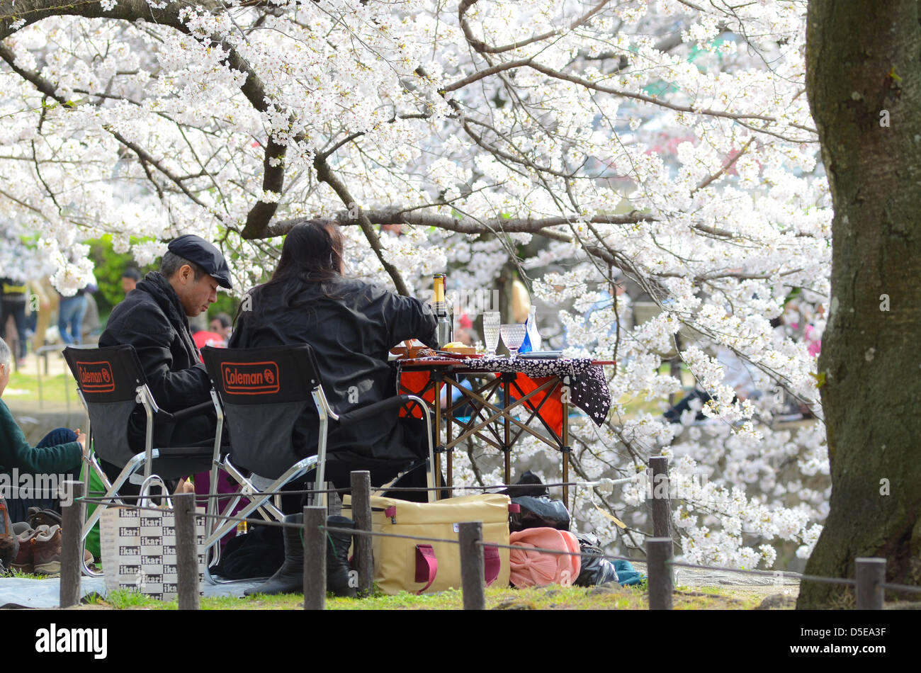 Kobe, Japan. 30. März 2013 – versammeln sich Familien und Freunde entlang eines Flusses in Shukugawa in der Nähe von Kobe auf Samstag um das kommen des Frühlings feiern. Kredit-Bild: Trevor Mogg / Alamy Live News Stockfoto
