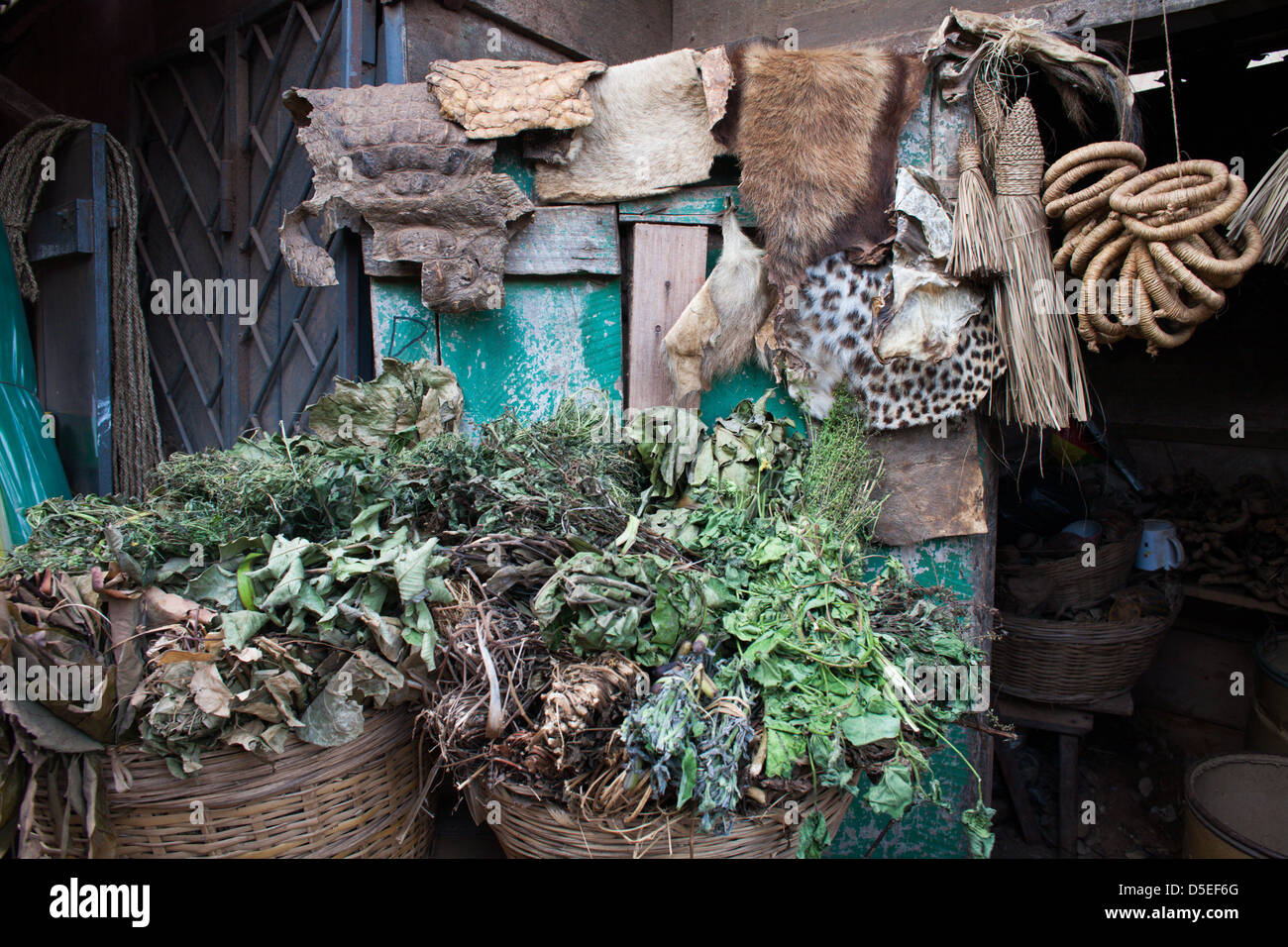 Verschiedene Kräuter und Tierhäuten auf Verkauf im Holzmarkt in Accra, Ghana. Stockfoto