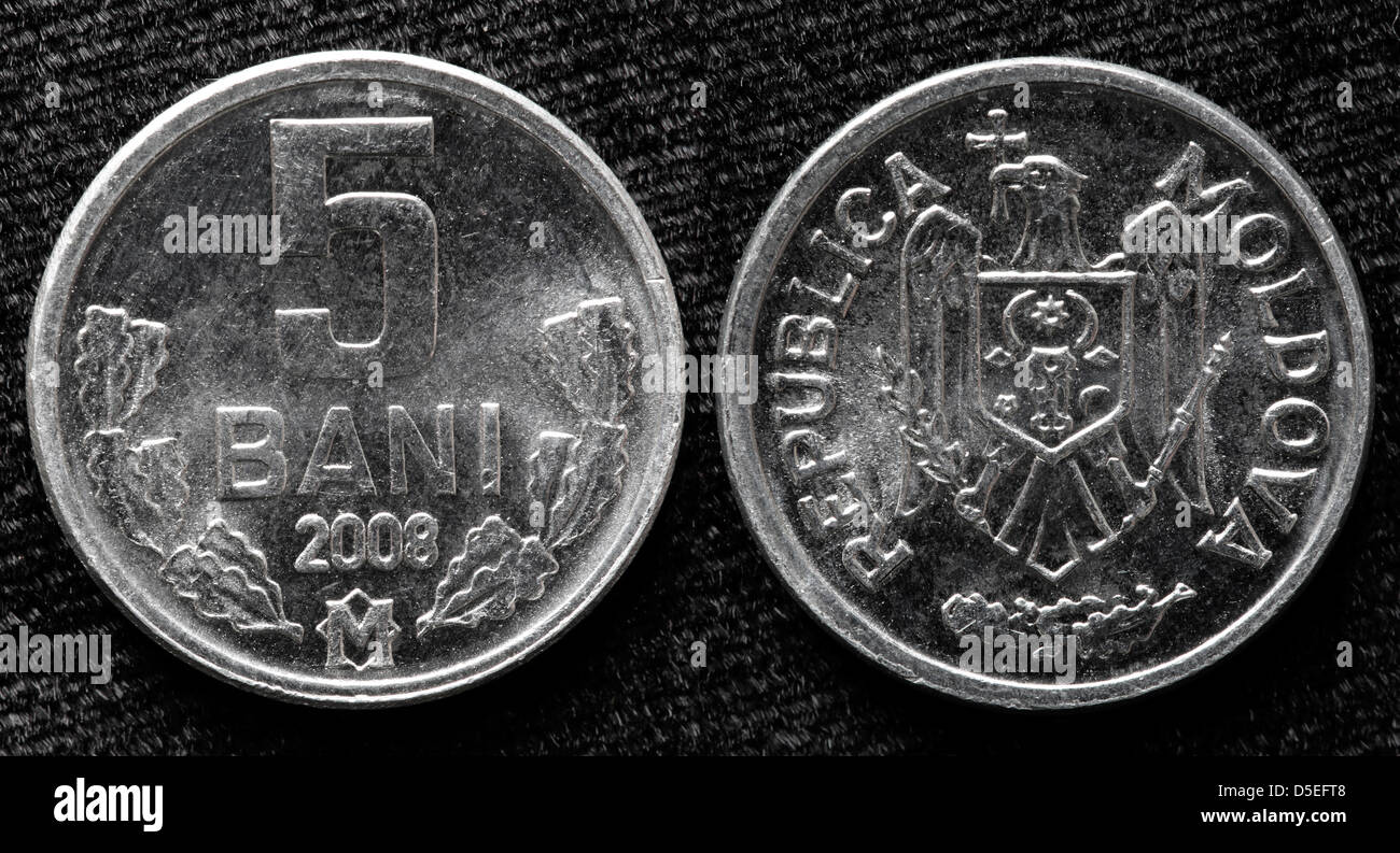 5 Bani Münze, Republik Moldau, 2008 Stockfoto