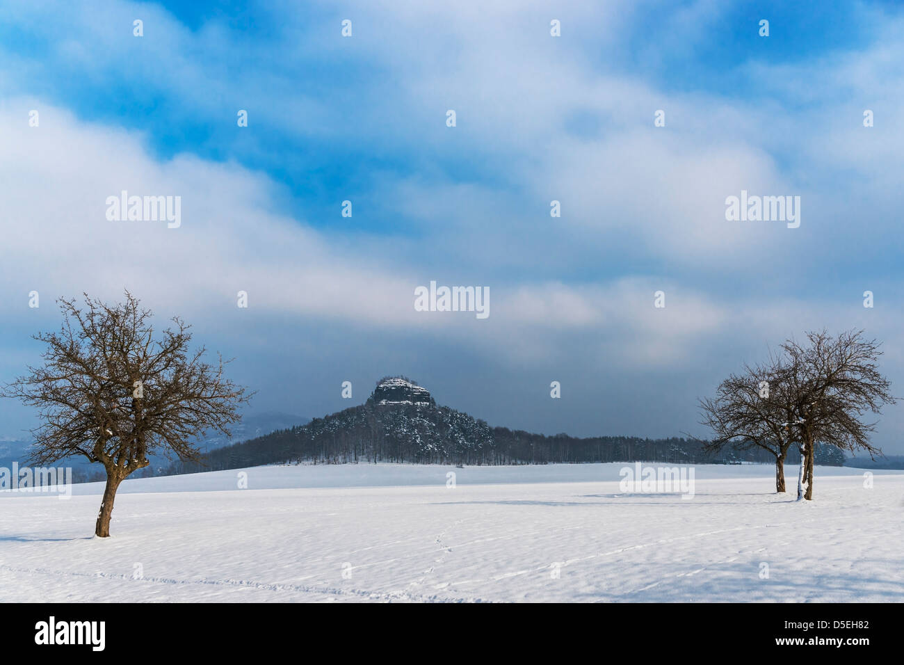 Der Zirkelstein Felsen, Reinhardtsdorf Schoena, Sächsische Schweiz in der Nähe von Dresden Sachsen, Deutschland, Europa Stockfoto