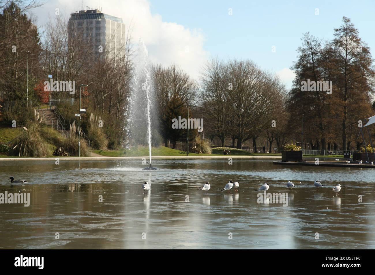 Basingstoke, Großbritannien. 31. März 2013.  Möwen auf Eis auf einem See in Eastrop Park, Basingstoke stehen. März Kälte hat den Beginn des Frühlings im Land verzögert. Bildnachweis: Rob Arnold/Alamy Live-Nachrichten Stockfoto