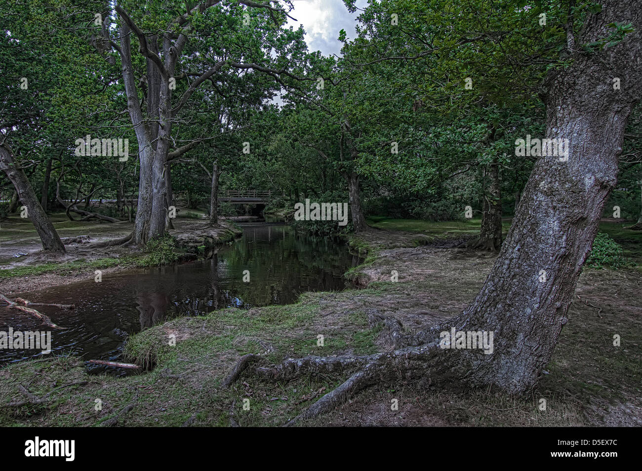 Puttles Brücke im New Forest Stockfoto Puttles Brücke im New Forest Stockfoto
