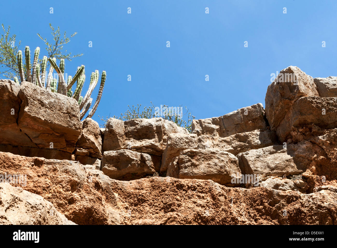 Paradise Valley, Agadir, Marokko Stockfoto