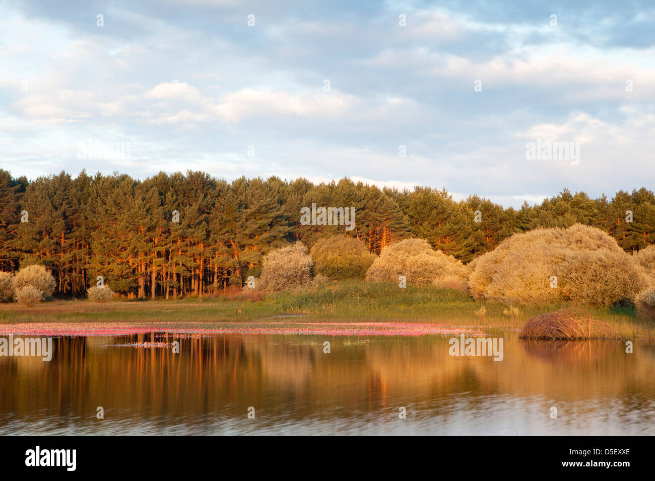 Stausee von La Cuerda del Pozo in Abejar, Soria, Spanien Stockfoto