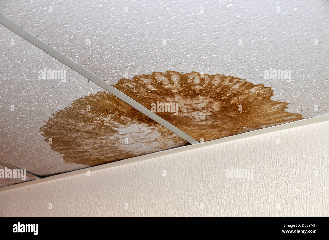 Ceiling Tiles Stockfotos Ceiling Tiles Bilder Alamy