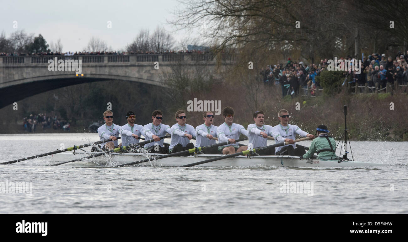 London, UK. 31. März 2013. Oxford & Cambridge Universitäten Boat Race 2013 statt auf der Themse zwischen Putney und Mortlake in London UK.  Oxford blau Boot:-Bogen: Patrick Close, 2: Geordie Macleod, 3: Alex Davidson, 4: Sam O'Connor, 5: Paul Bennett, 6: Karl Hudspith, 7: Constantine Louloudis, Schlaganfall: Malcolm Howard, Cox: Oskar Zorrilla.  Cambridge Blau Boot:-Bogen: Grant Wilson, 2: Milan Bruncvik, 3: Alex Fleming, 4: Ty Otto, 5: George Nash, 6: Steve Dudek, 7: Alexander Scharp, Schlaganfall: Niles Garratt, Cox: Henry Fieldman. Stockfoto