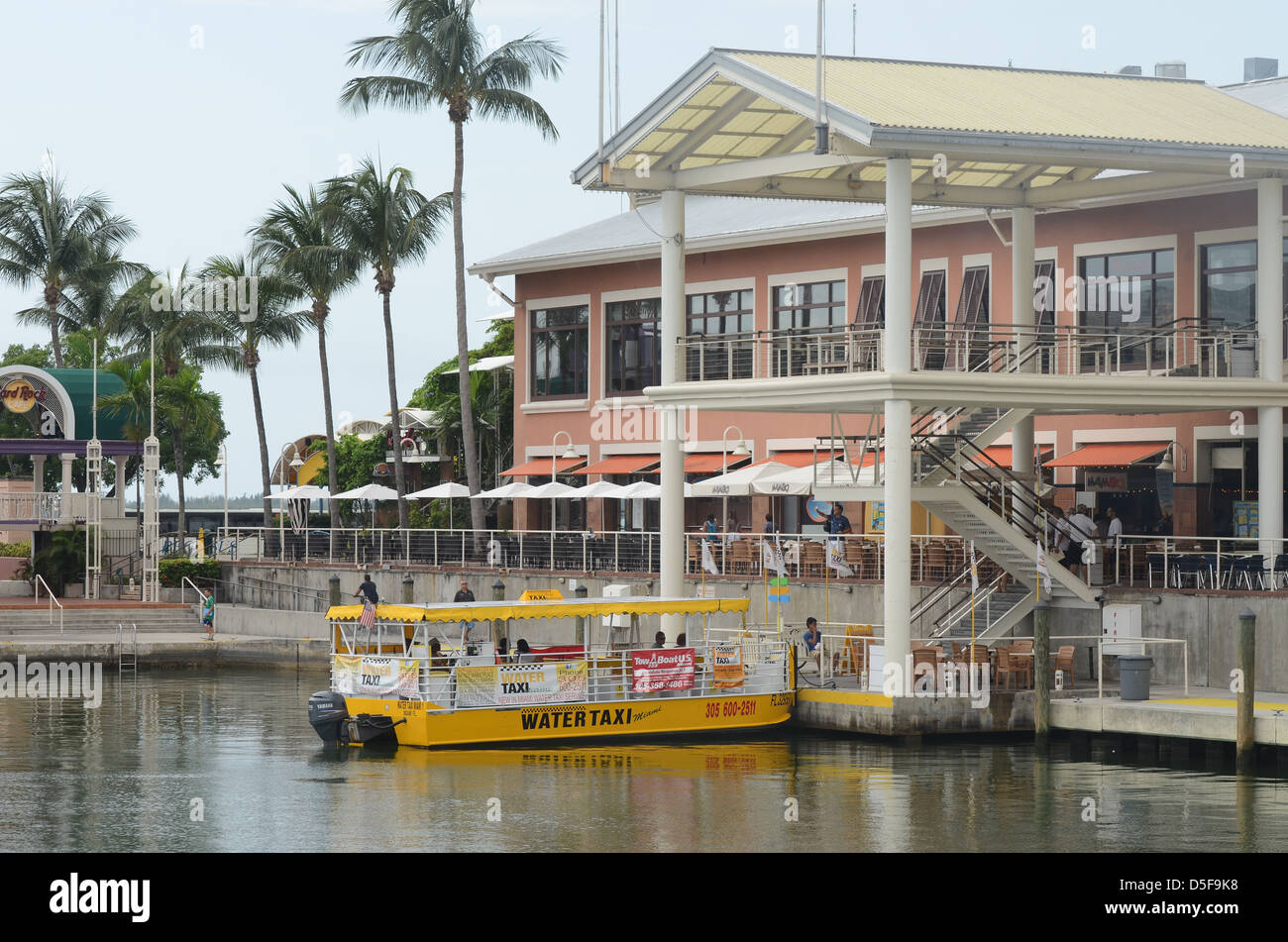 Wasser-Taxi auf der Bayside Marina Miami Beach, Miami, Florida. Stockfoto