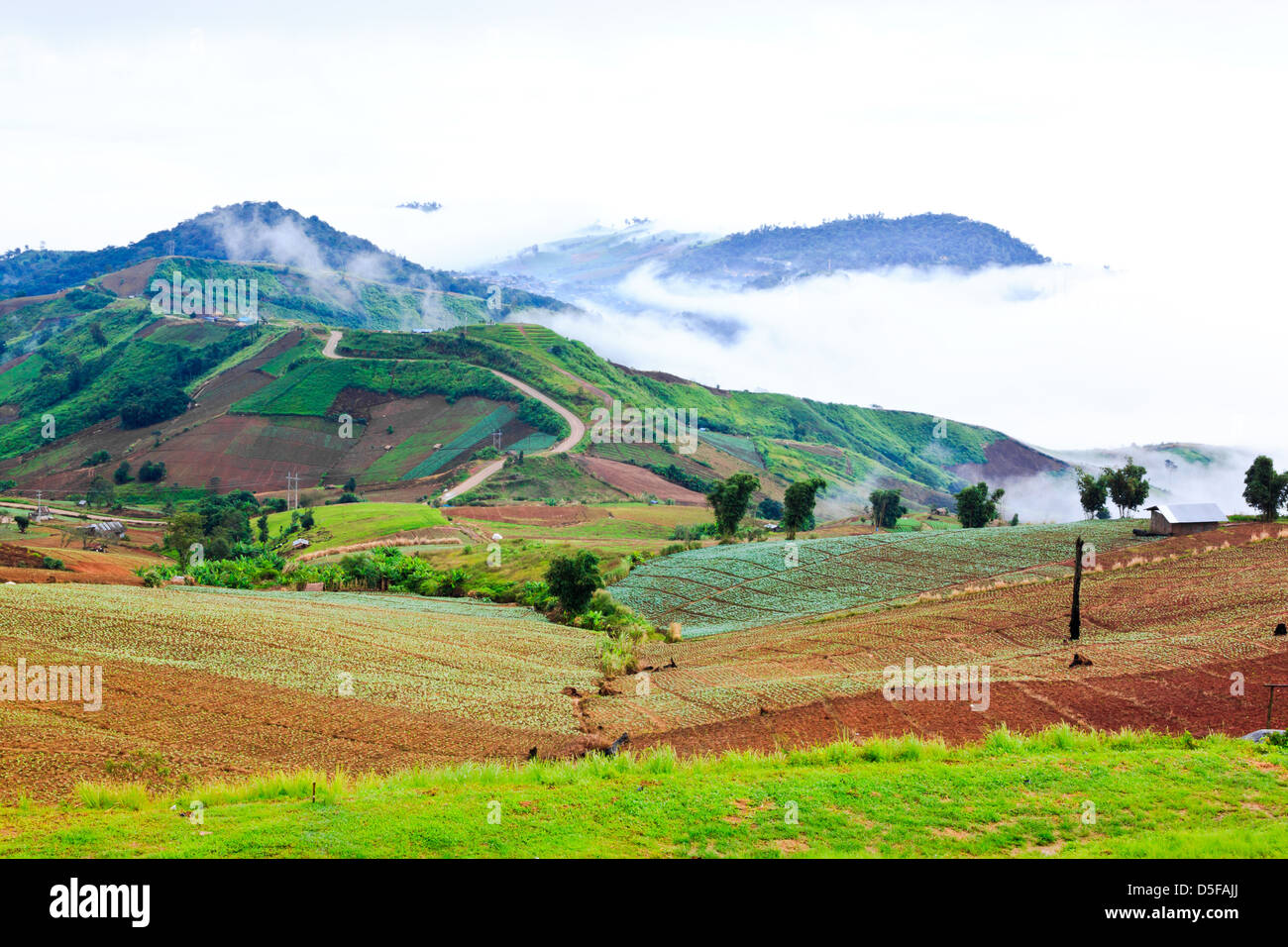 Phutubberg am Morgen, thailand Stockfoto