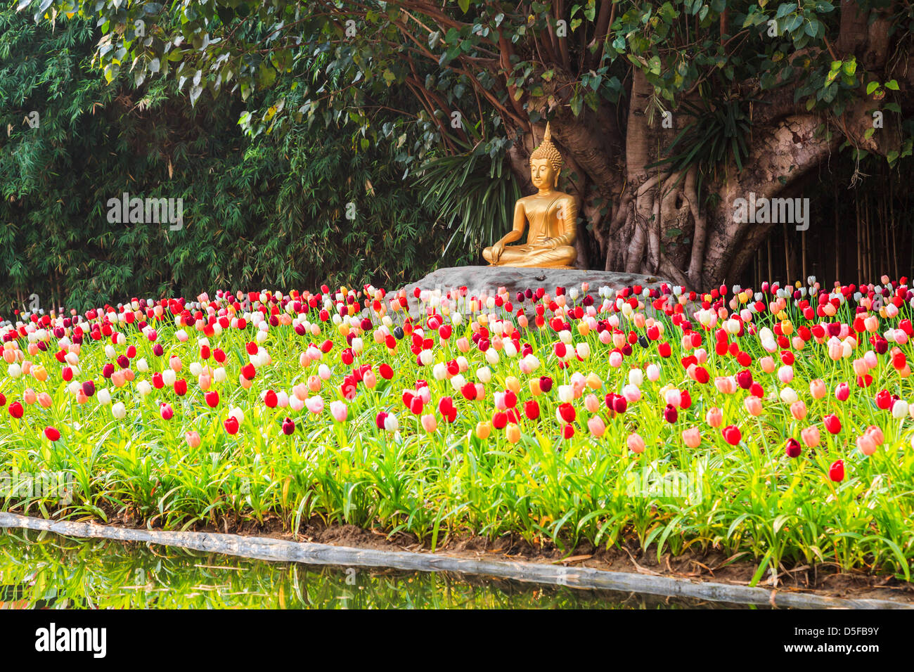 Buddha garden statue Fotos und Bildmaterial in hoher Auflösung Alamy