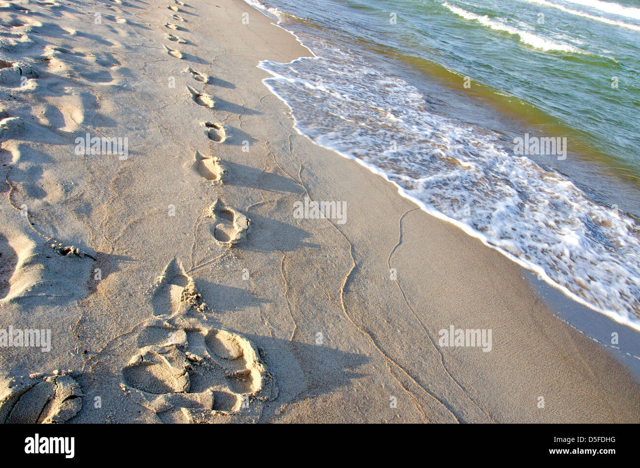 Fußspuren im Sand, der Strand und das Meer Vawes nassen Morgen Stockfoto