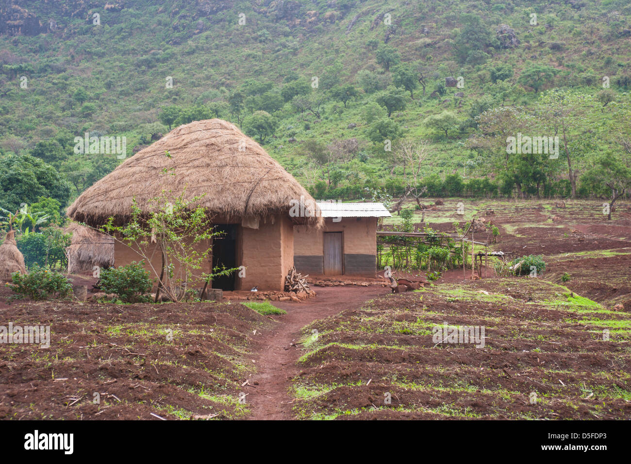 Typisch afrikanische Heimat Hütte in Kamerun in der Nähe von Bamenda Stockfoto