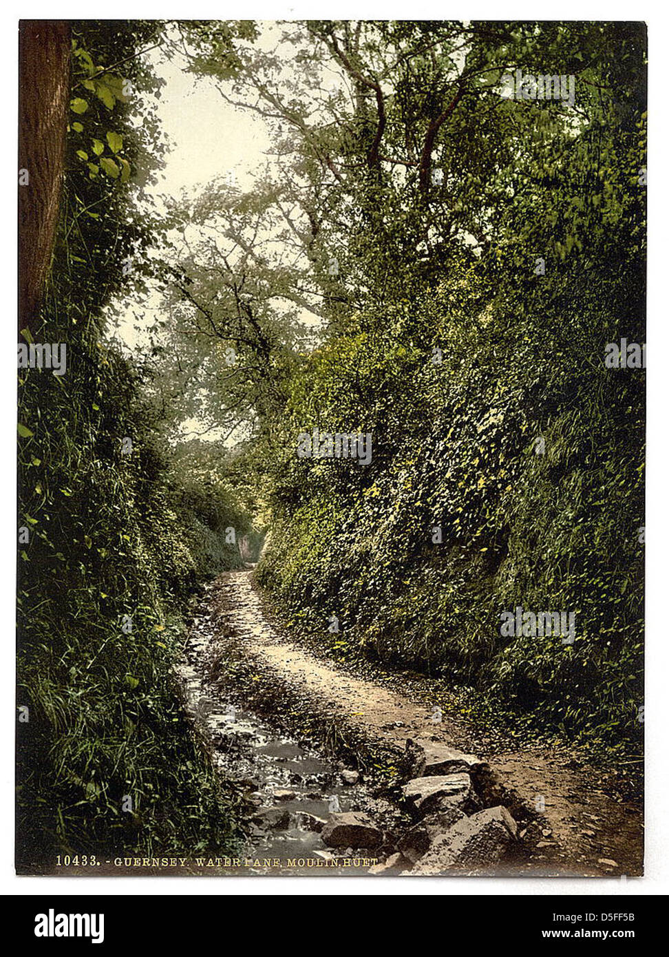 Malerische Aussicht auf eine Wasserstraße in der Nähe des Moulin Huet in Guernsey, Kanalinseln, die die natürliche Schönheit und die historische Landschaft einfängt. Stockfoto