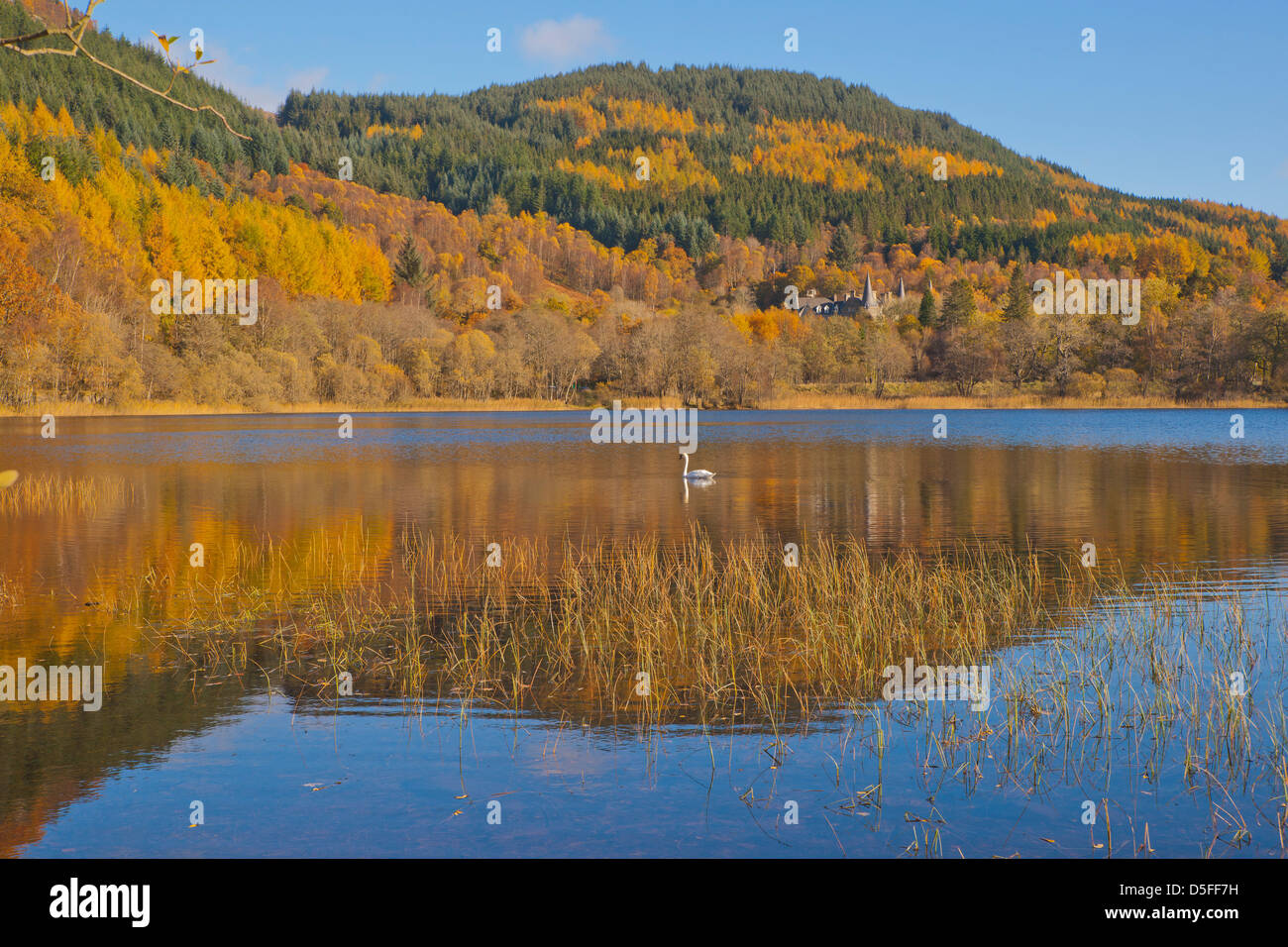 Herbstfarben in die Trossachs, Schottland, Großbritannien Stockfoto