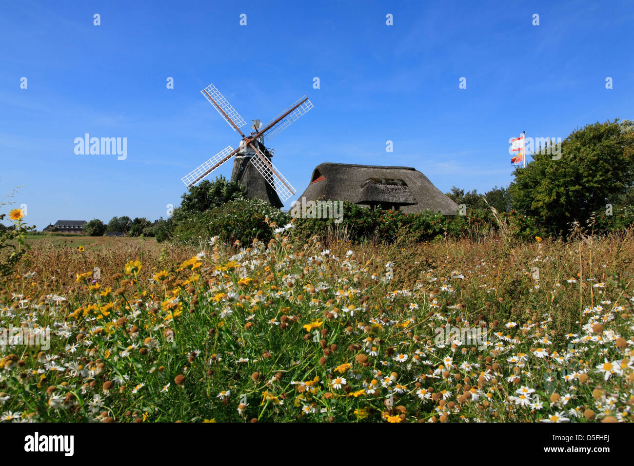 Insel Föhr, Windmühle in Oldsum, Schleswig-Holstein, Deutschland Stockfoto