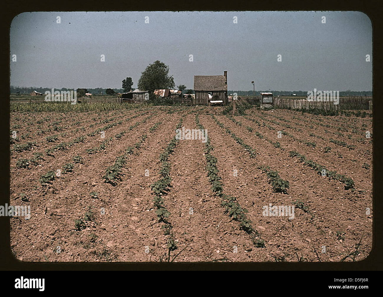 Bauernhof im Süden der USA... Louisiana? (LOC) Stockfoto