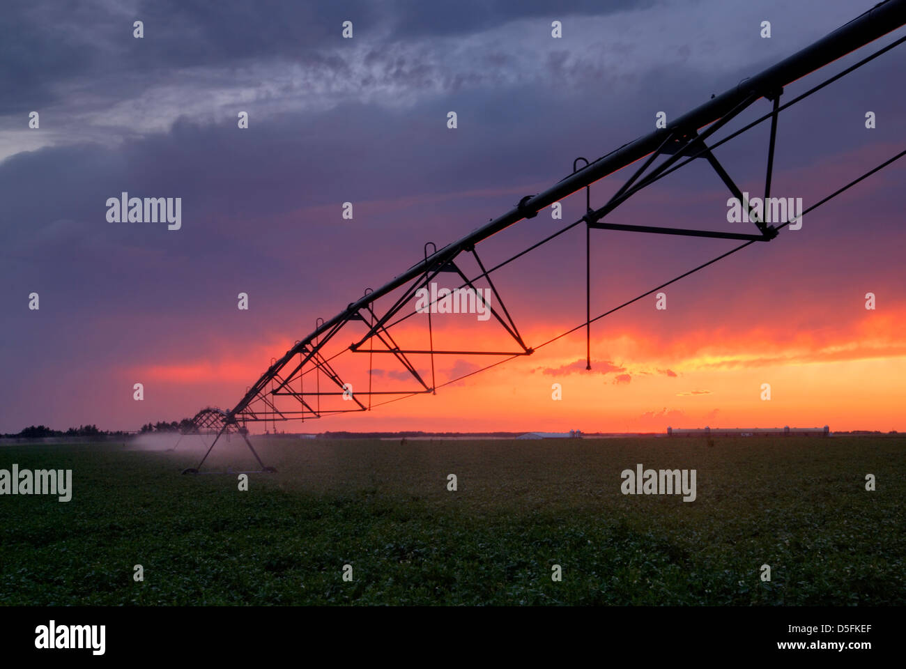 Bauernhof-Bewässerung, Beregnung Felder bei Sonnenuntergang Stockfoto