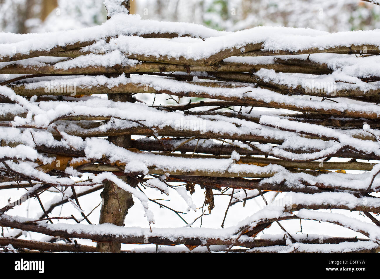 Schnee-Muster auf einer gedeckten Hecke im Winter. Stockfoto