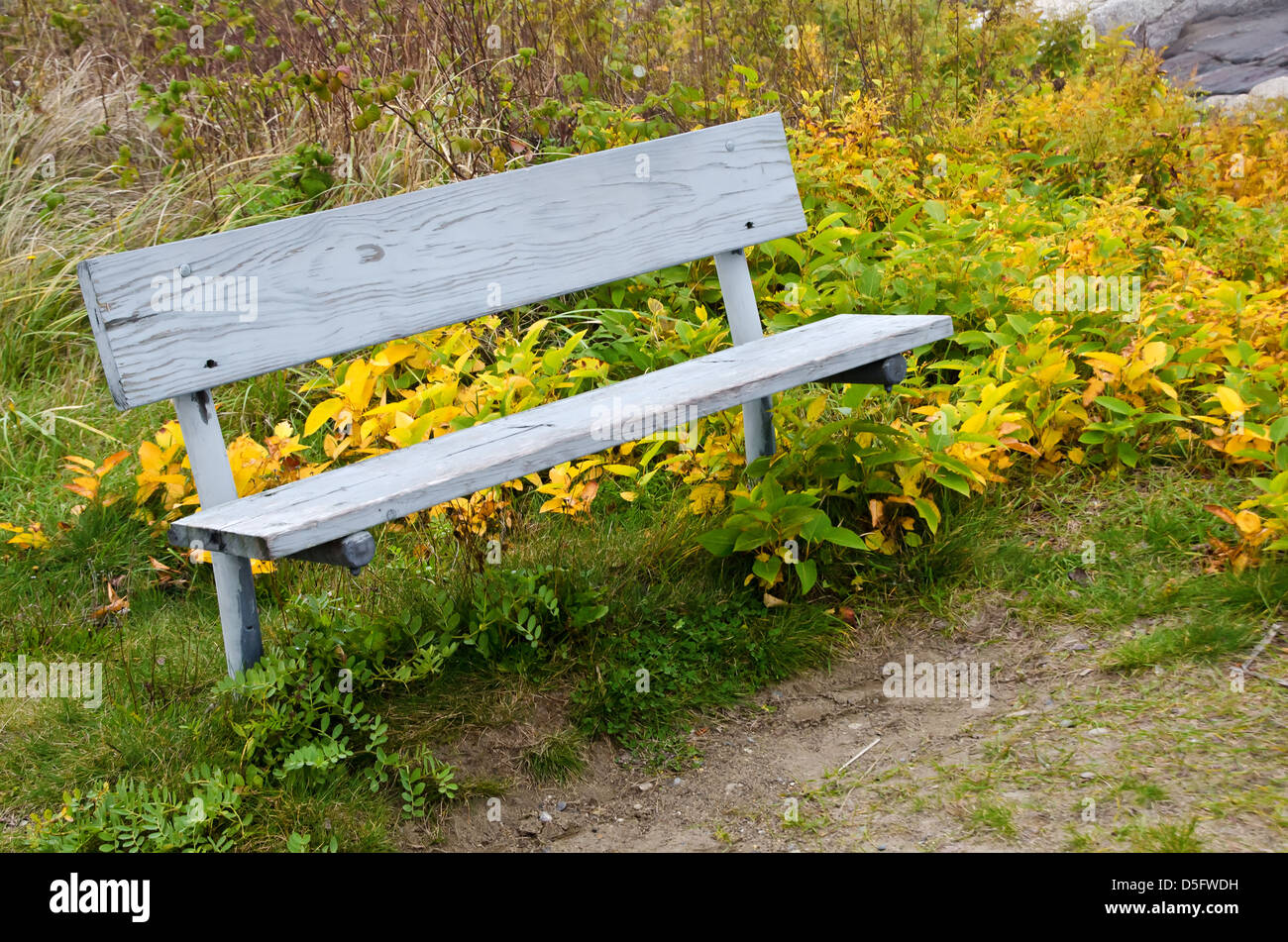 Leere Holzbank, umgeben von Herbstlaub Stockfoto