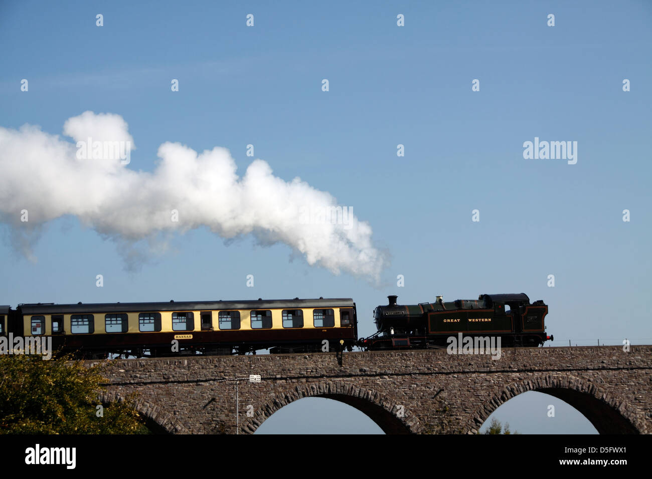 Dampfzug über Viadukt in Paignton Stockfoto