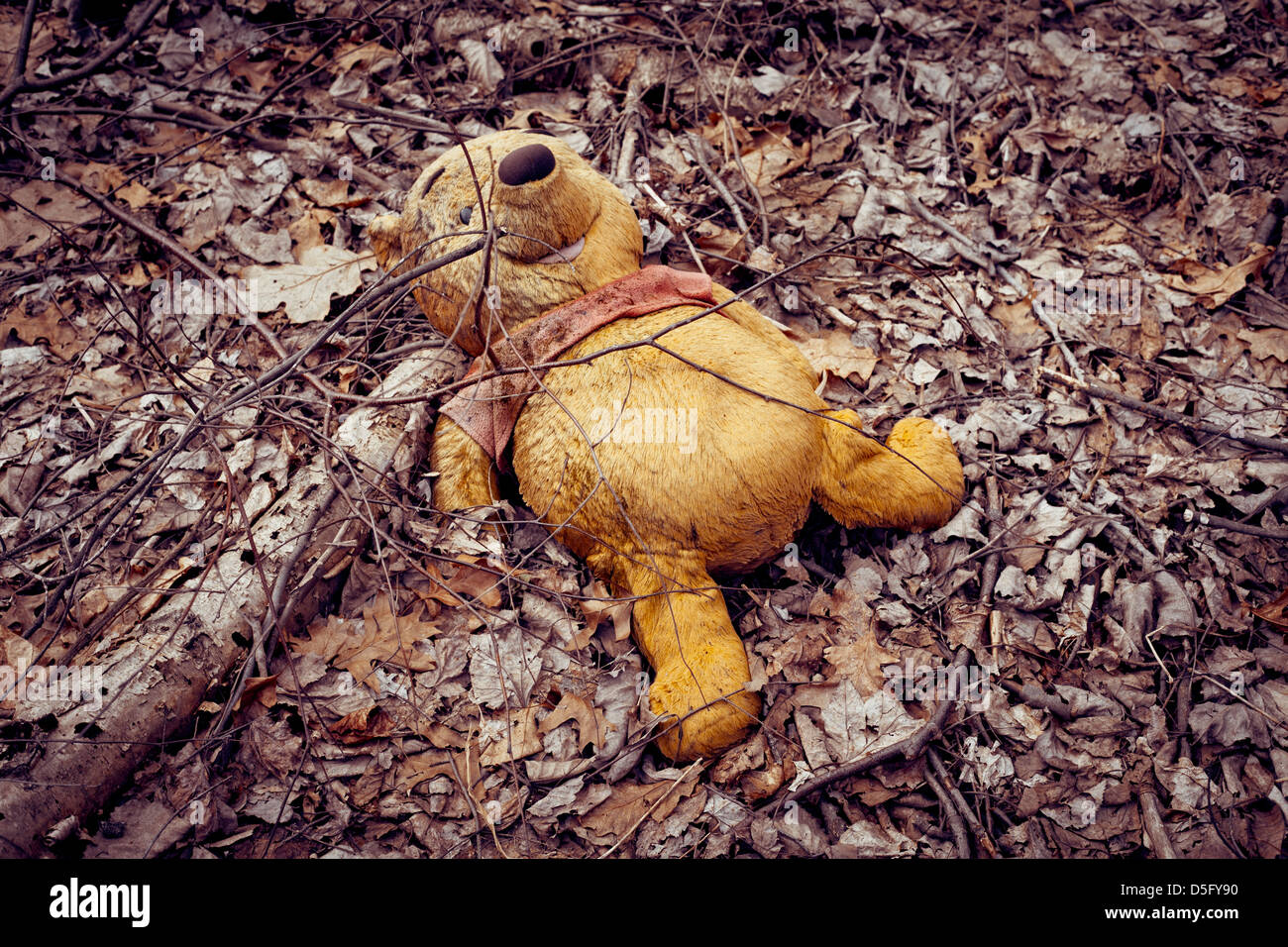 Winnie The Pooh Stofftier verlassen im Wald Stockfoto