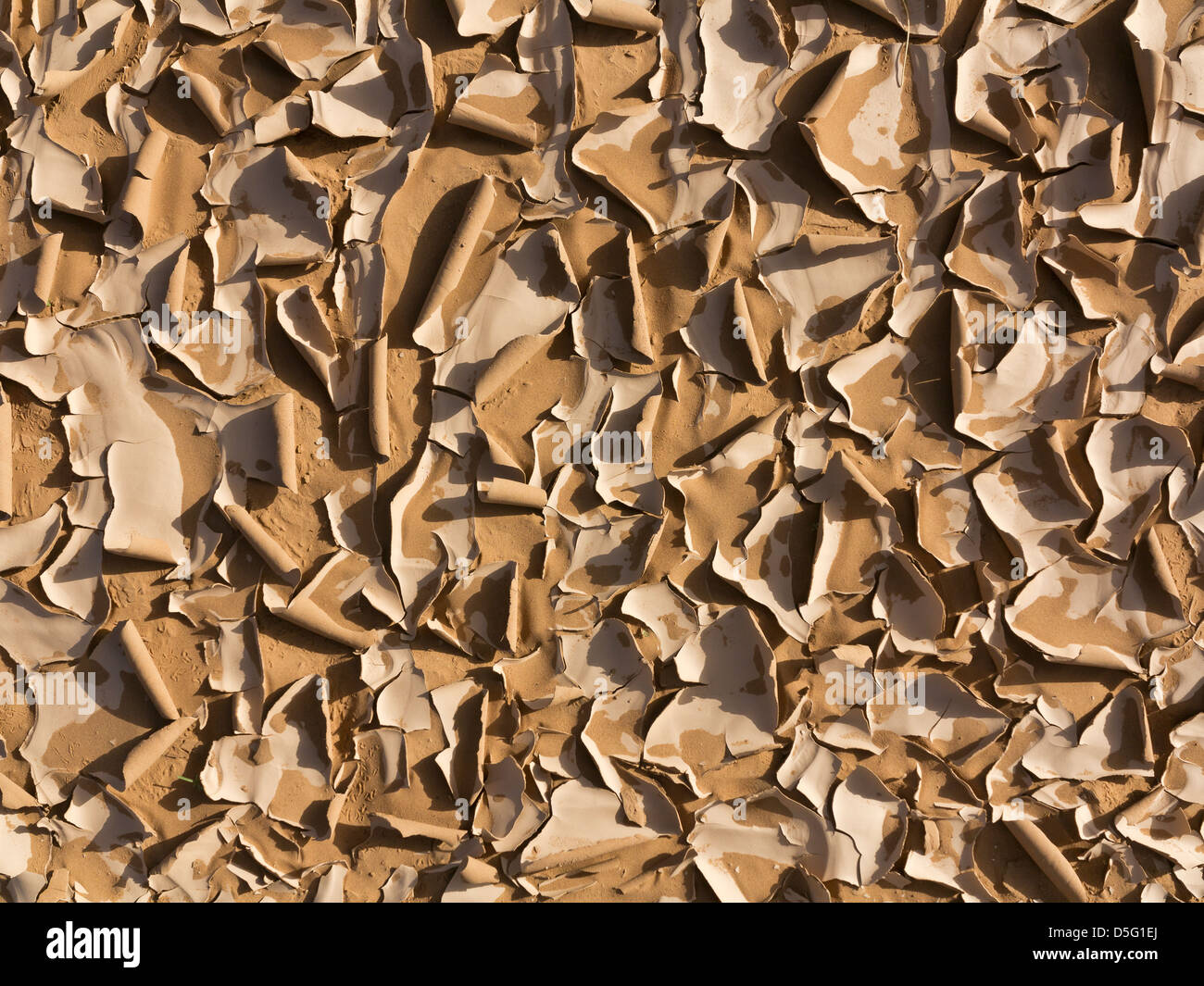 Nahaufnahme eines netzförmigen getrockneten Schlamm auf Wüstenboden abstrakte Muster erstellen Stockfoto