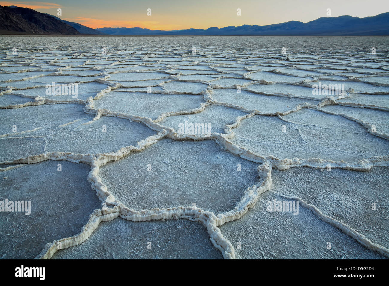 Polygonale Salinen, Badwater Basin, Death Valley Nationalpark, Kalifornien USA Stockfoto