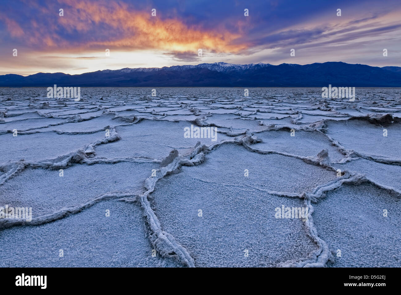 Polygonale Salinen und Panamint Range, Badwater Basin, Death Valley Nationalpark, Kalifornien USA Stockfoto