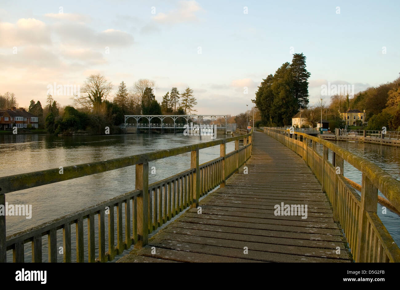 Themse in der Nähe von Henley, Oxfordshire, England UK Stockfoto