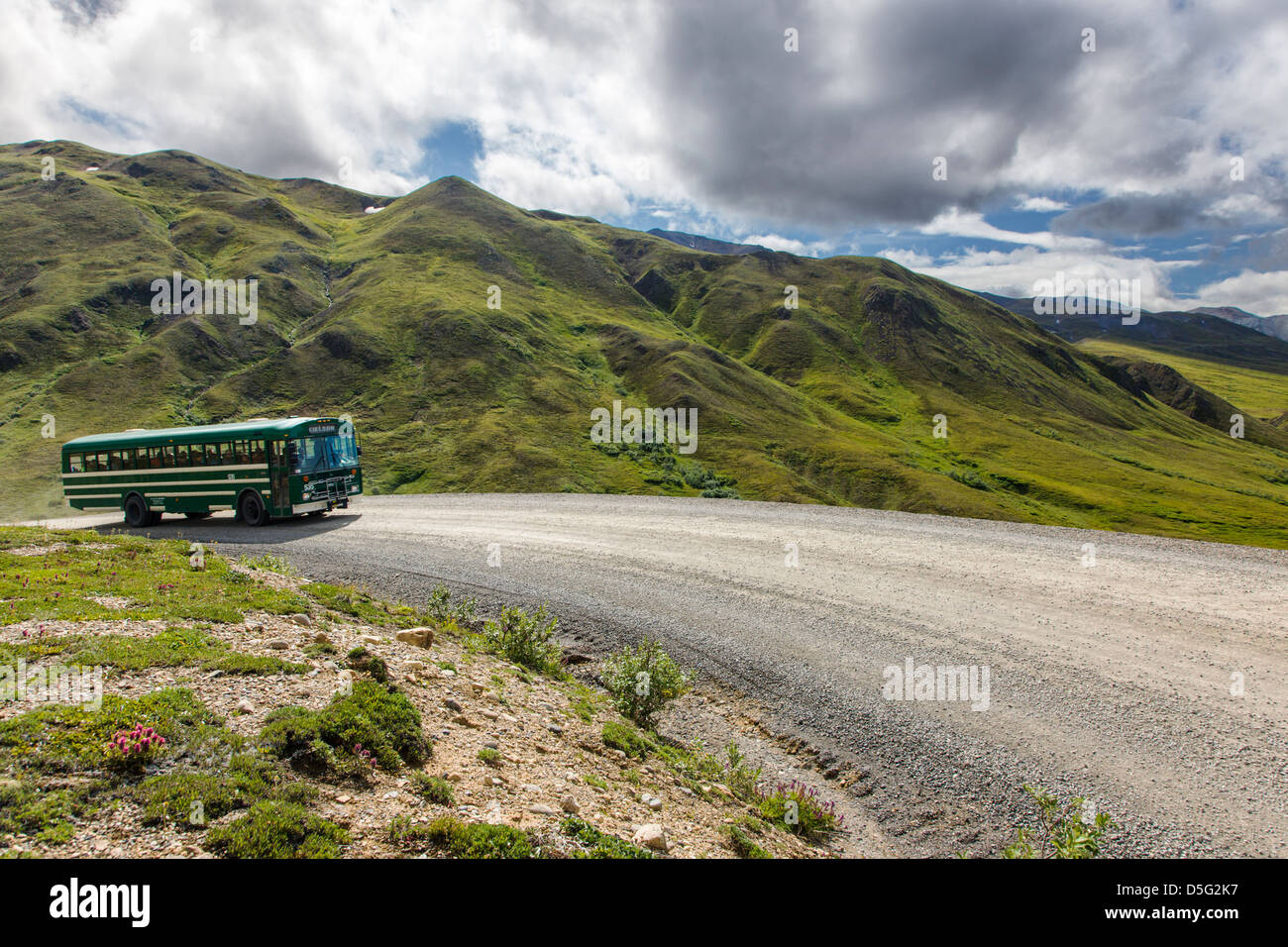 Shuttle-Busse Besucher auf den begrenzten Zugang Denali Park Road, Denali National Park, Alaska, USA Stockfoto