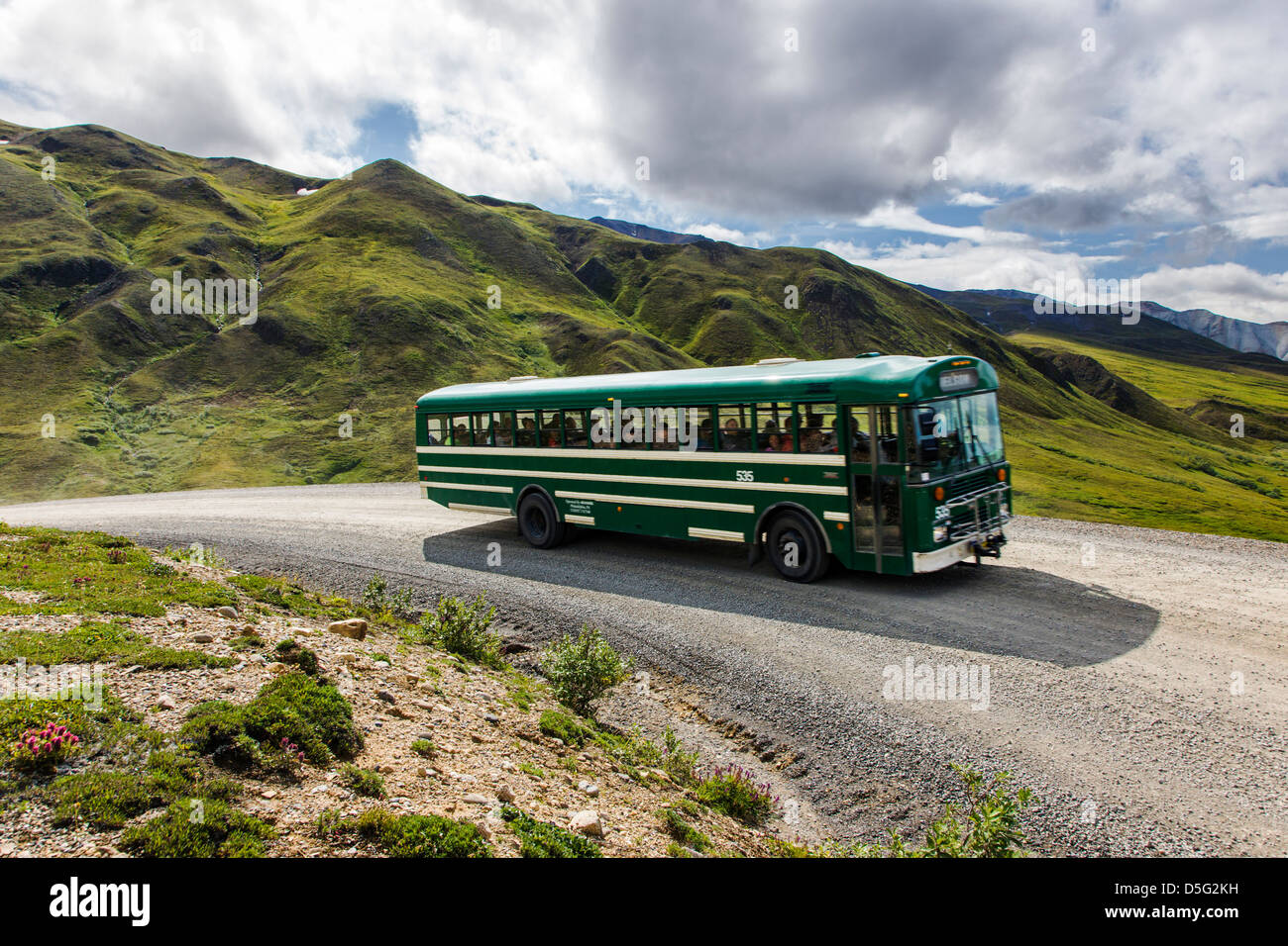 Shuttle-Busse Besucher auf den begrenzten Zugang Denali Park Road, Stony Hill Overlook, Denali National Park, Alaska, USA Stockfoto
