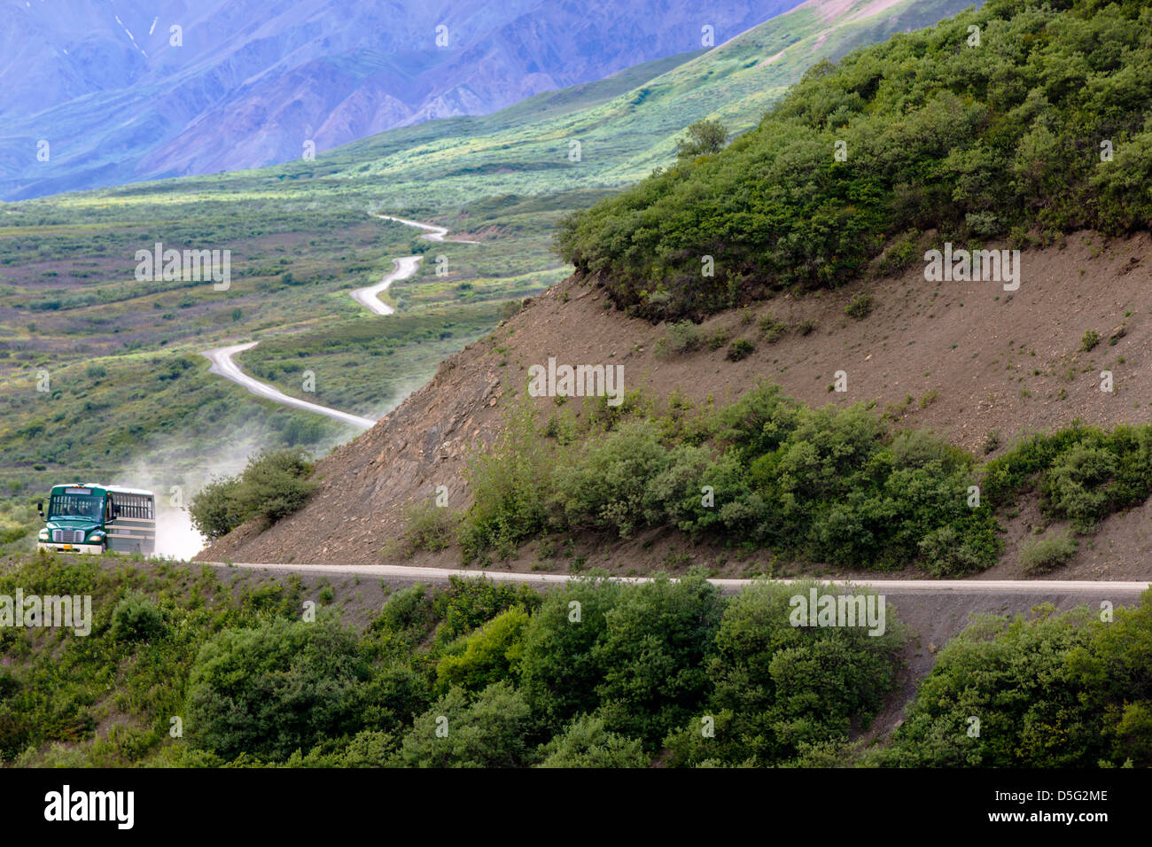 Shuttle-Busse Besucher auf den begrenzten Zugang Denali Park Road, Denali National Park, Alaska, USA Stockfoto