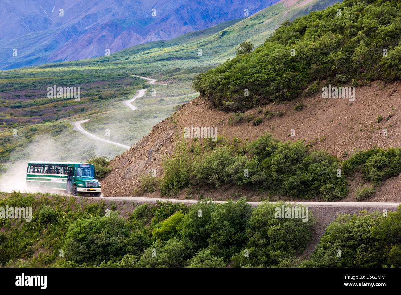 Shuttle-Busse Besucher auf den begrenzten Zugang Denali Park Road, Denali National Park, Alaska, USA Stockfoto
