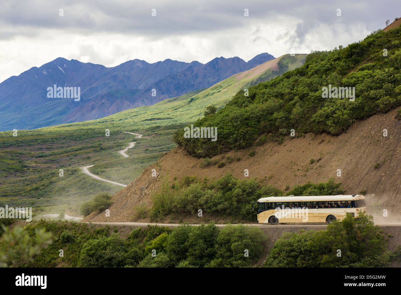 Shuttle-Busse Besucher auf den begrenzten Zugang Denali Park Road, Denali National Park, Alaska, USA Stockfoto