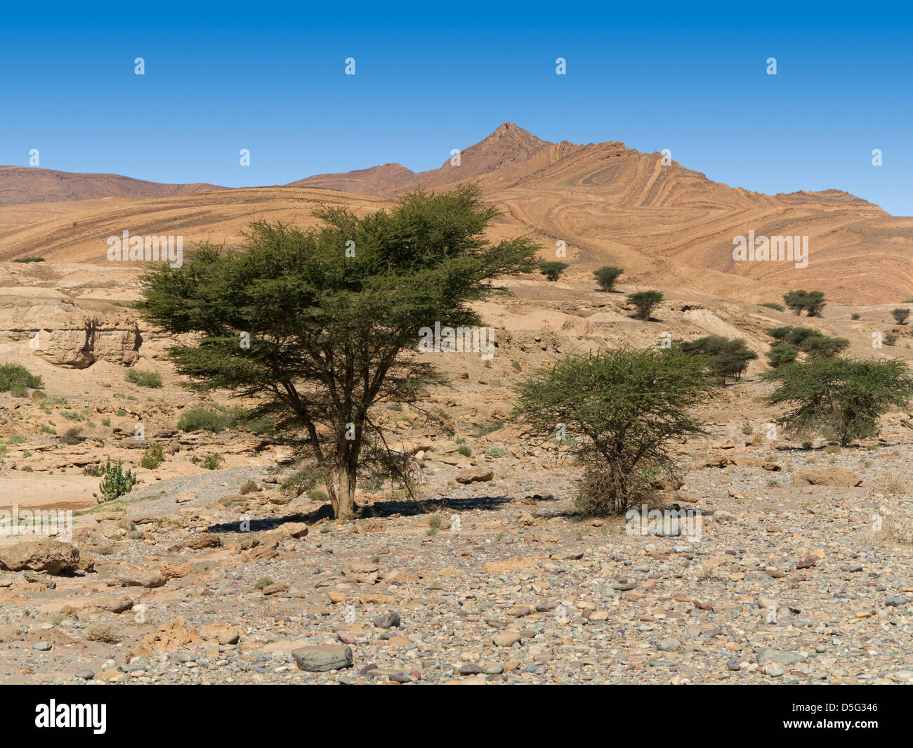 Wadi-Bett bis das Meer Höhle bekannt lokal als Grouttes de Messalit, in der Nähe von Tata, Anti Atlas-Gebirge von Südmarokko Stockfoto