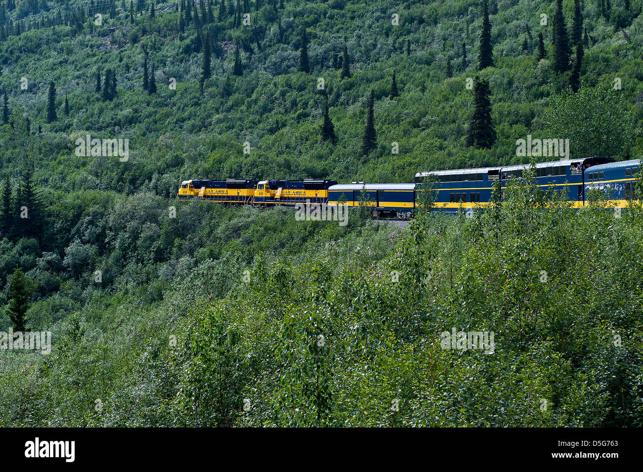 Touristenzug Wicklung seinen Weg durch die unberührte Landschaft Alaska, Alaska USA Stockfoto