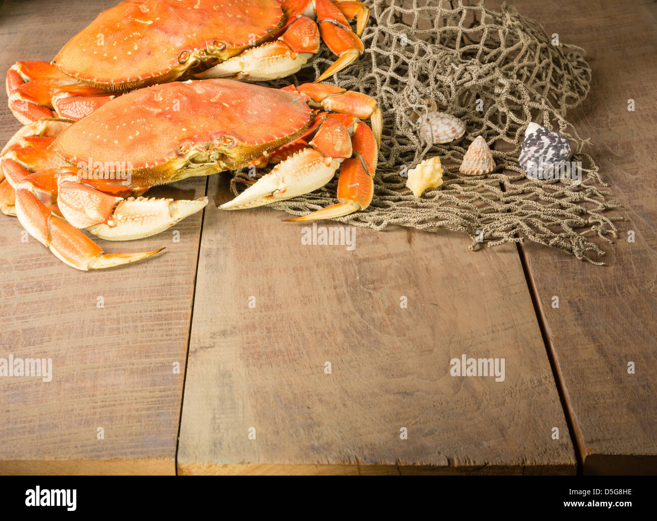 Zwei Dungeness Krabben und Net mit Muscheln Stockfoto