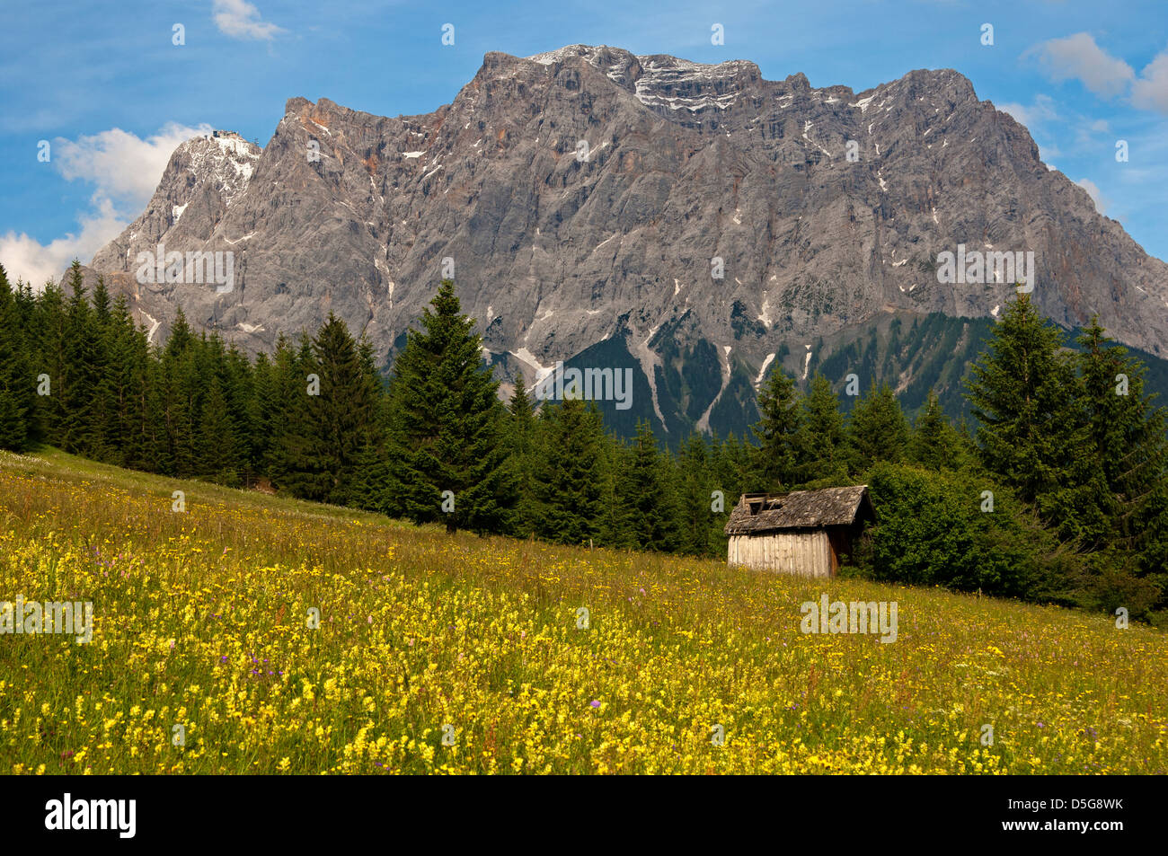 Wetterstein-Gebirge mit Gipfeln Zugspitze, Schneefernerkopfs und Wetterspitzen, Ehrwald, Zugspitzarena, Tirol, Österreich Stockfoto