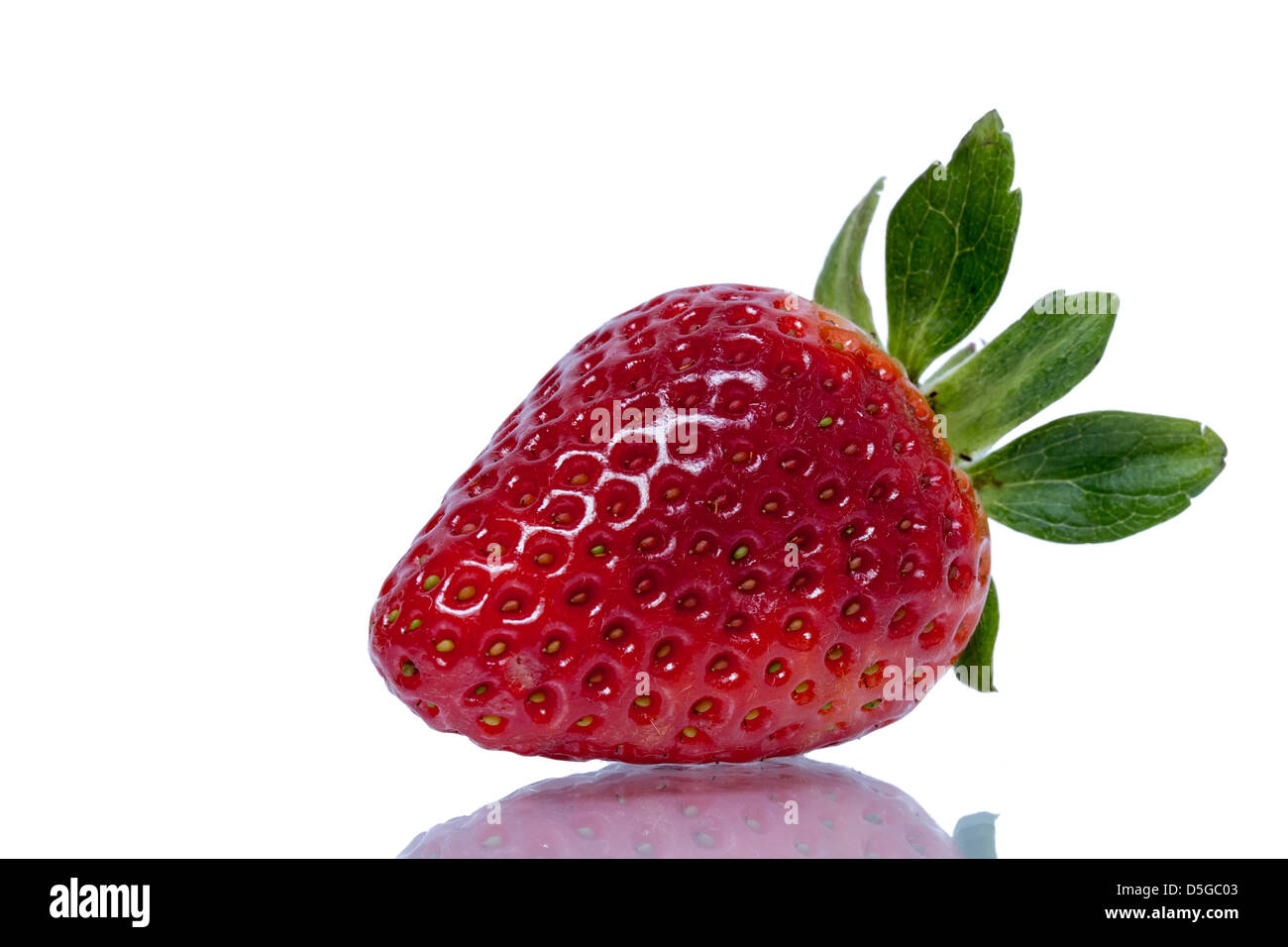 Erdbeere isolierter auf weißer Hintergrund hautnah Stockfoto