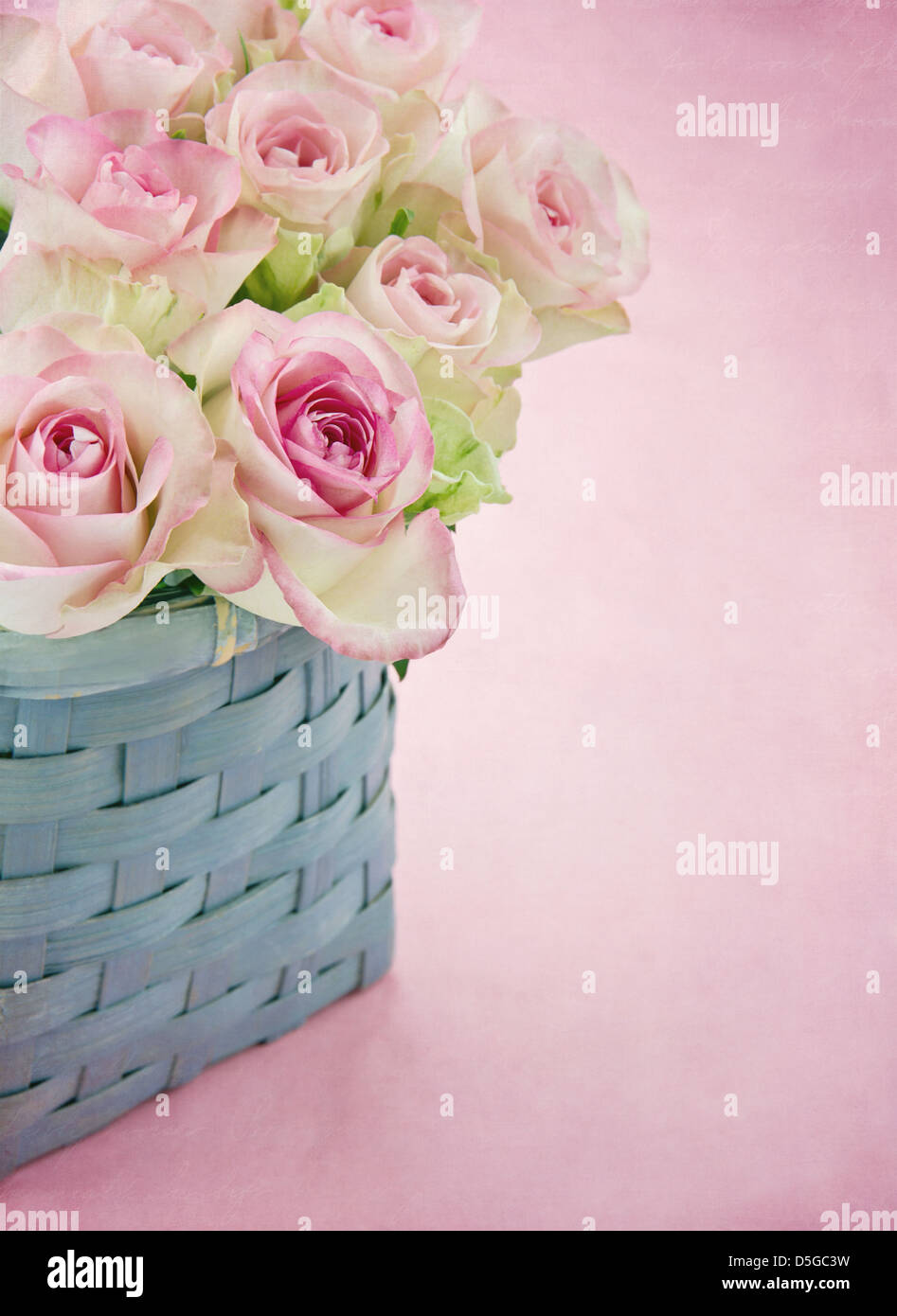 Verträumte romantische rosa Rosen in einer blauen alten Korb auf Pastell Farbe strukturierten Hintergrund Stockfoto
