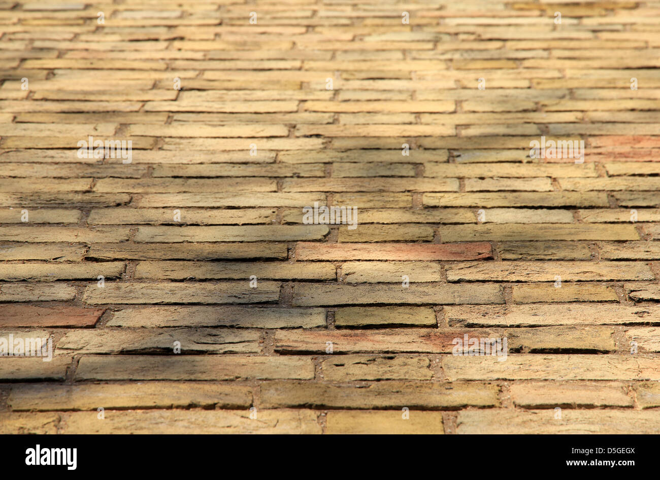 gelbem Backstein des viktorianischen Reihenhaus in Cambridge England UK. Stockfoto