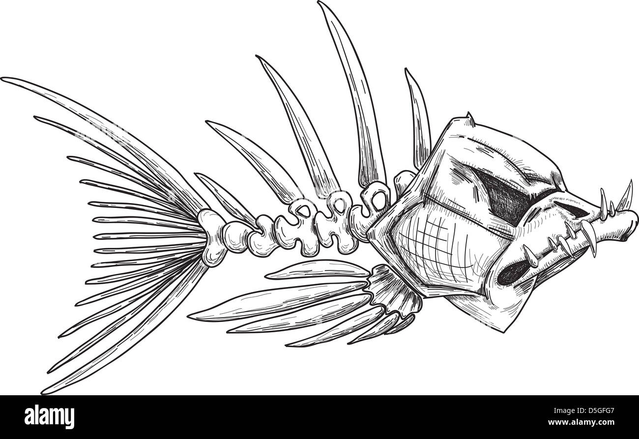 Skizze des Bösen Skelett Fisch mit scharfen Zähnen Stockfoto