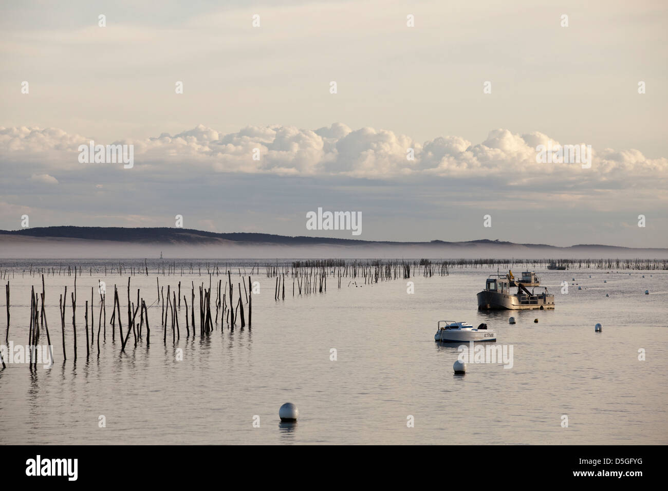 Beiträge markieren Austernbänke im Wasser in der Bucht von Arcachon an Lège-Cap-Ferret, Frankreich Stockfoto