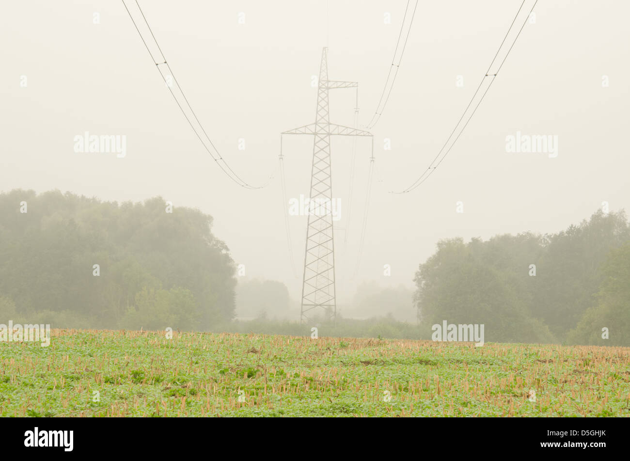 Blick auf Landwirtschaft Feld und Hochspannung Strom Pol Draht im Morgennebel. Stockfoto