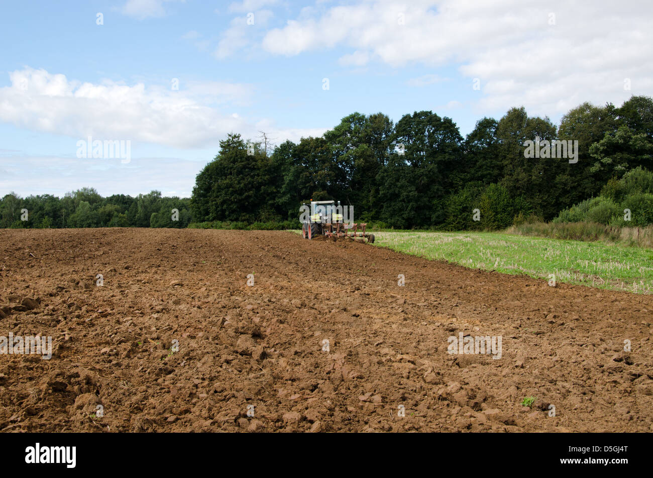 schwere Maschine Traktor Agrarbereich im Spätsommer in der Nähe von Wald zu pflügen. Stockfoto