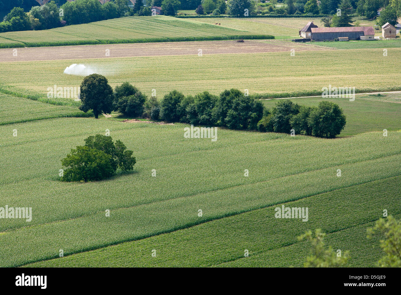 Felder von Mais unter Bewässerung in der Dordogne-Region von Frankreich Stockfoto