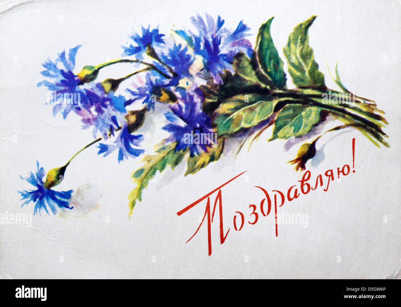 Alte Ansichtskarte mit Blumen, Russland Stockfoto